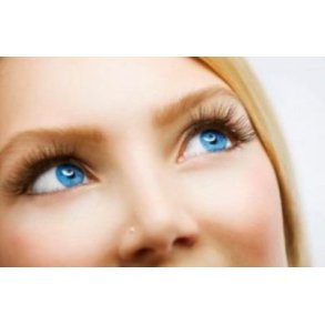 Lash Lift & Brow Styling - 60 min.