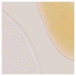 Phyto-Nature Firming Serum - 40ml