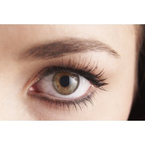 Farvning af vipper og bryn incl. ret. - 45 min